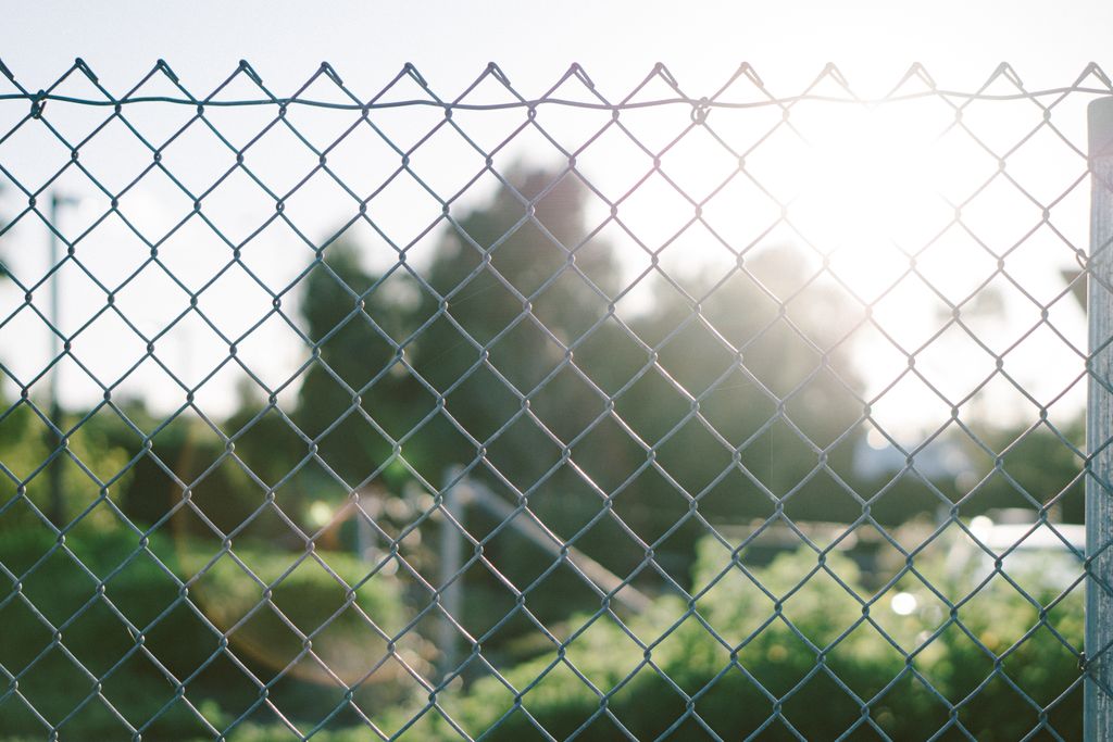 A chain-link fence with sunlight creating patterns, set against an outdoor natural backdrop.