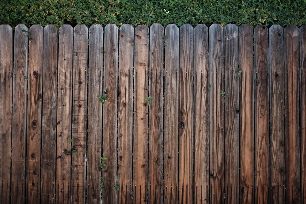 A rustic wooden fence overgrown with green foliage on a sunny day.