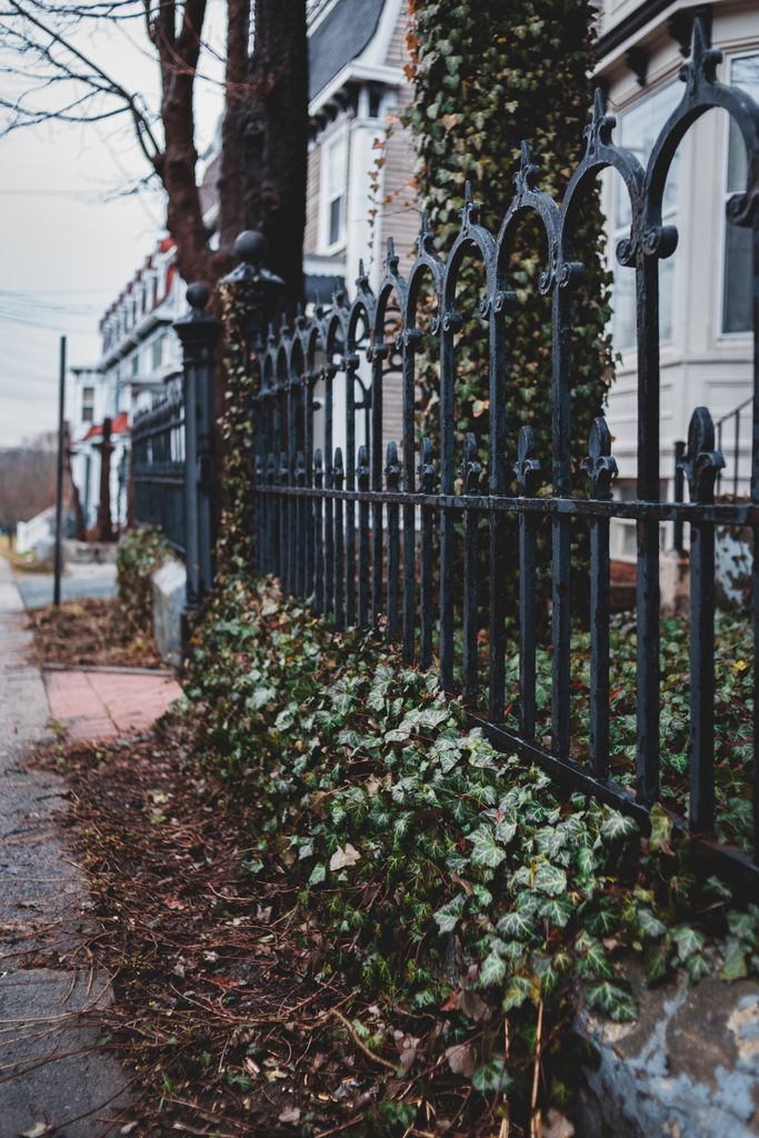 Autumn street scene with an elegant iron fence adorned with ivy next to historical homes.