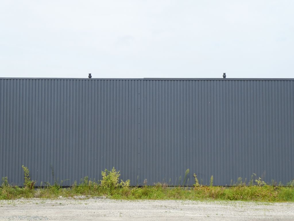 Outdoor view of a gray corrugated metal fence with wild vegetation at its base.